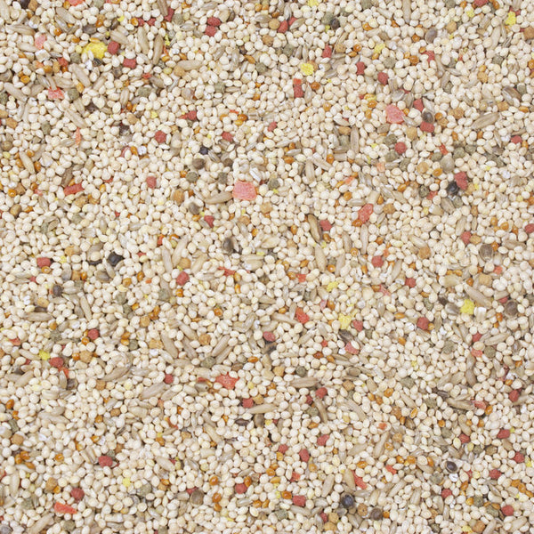 Higgins Vita seed Parakeet Bulk