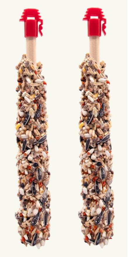 Higgins 113284 Sunburst treat stickwith Bananas & Coconut Parrot