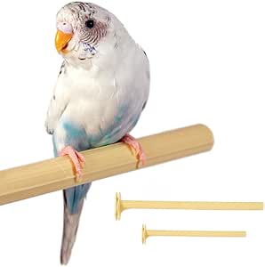 Penn Plax Universal Perch 7 inch