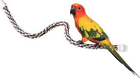 JWP 08756116 Perch Comfy Multi Color 33 Inch Perch