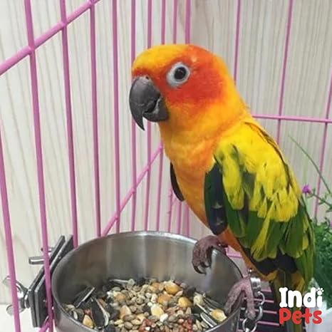 800121 10oz Coop Cup