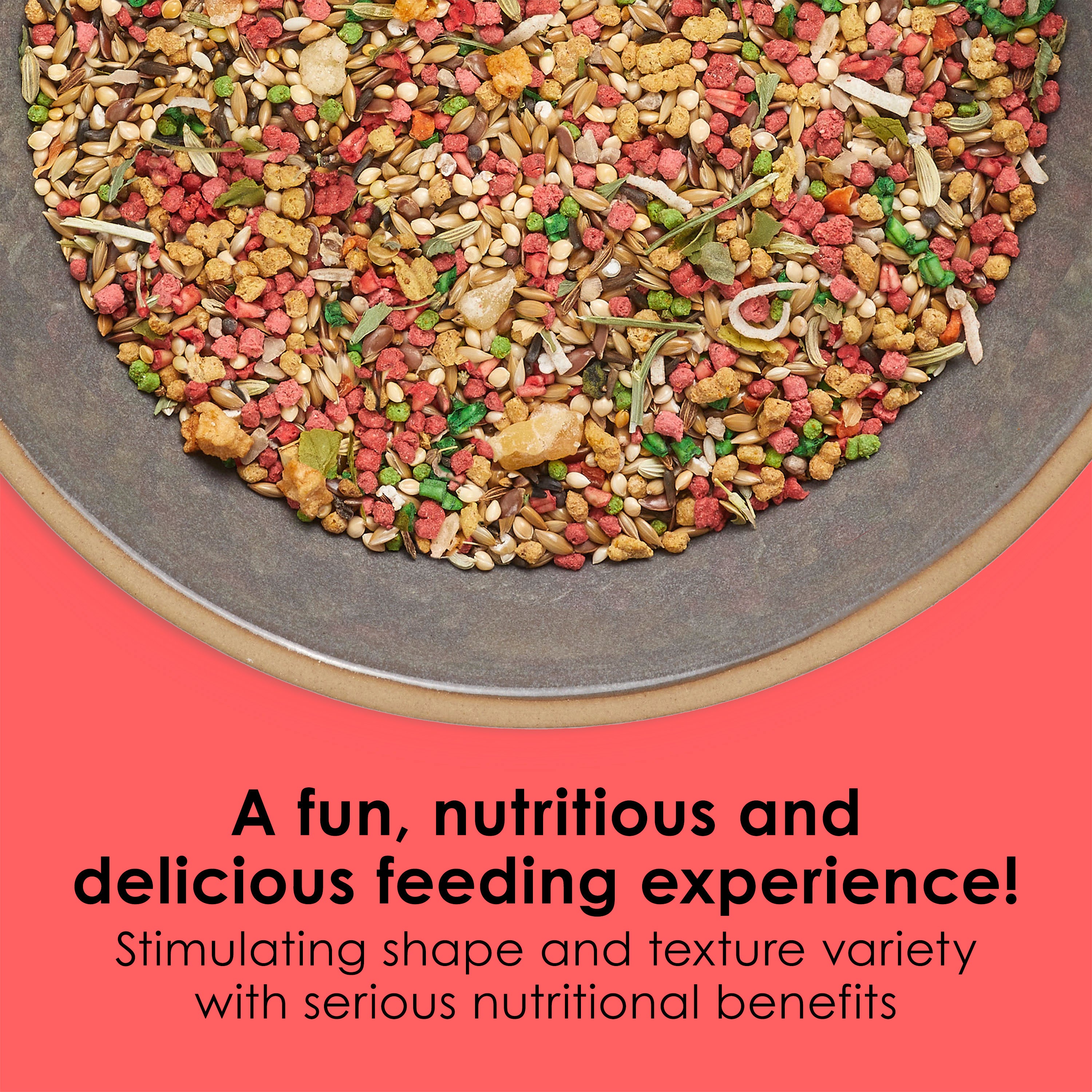 Kaytee Fiesta Canary & Finch 2lb