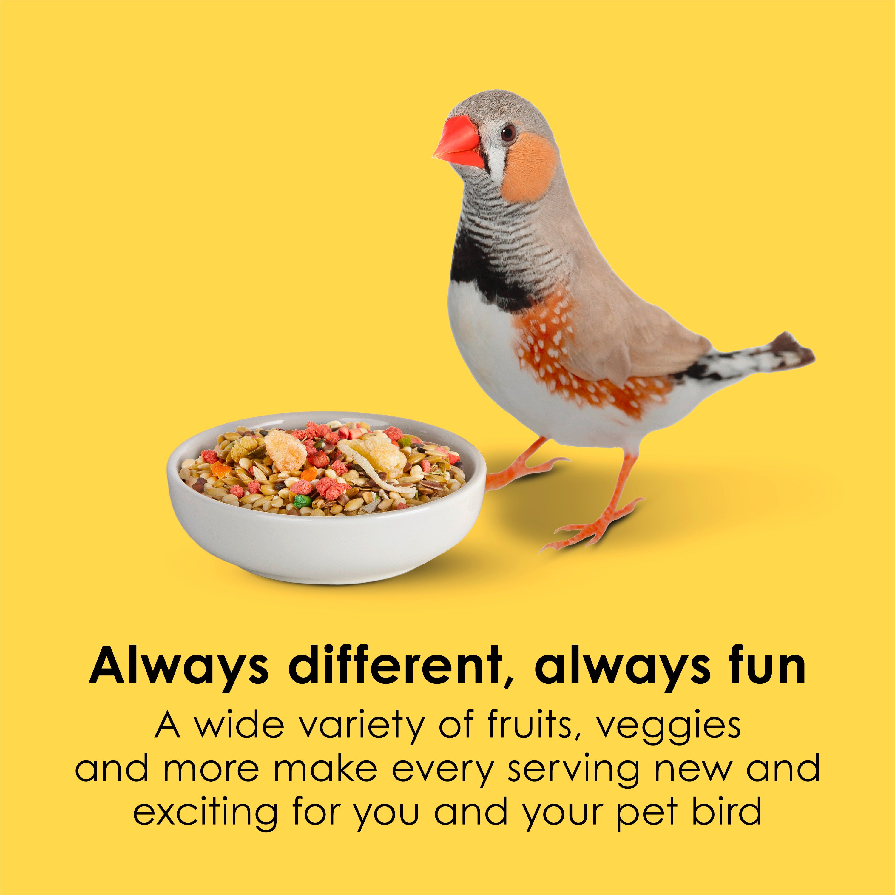 Kaytee Fiesta Canary & Finch 2lb