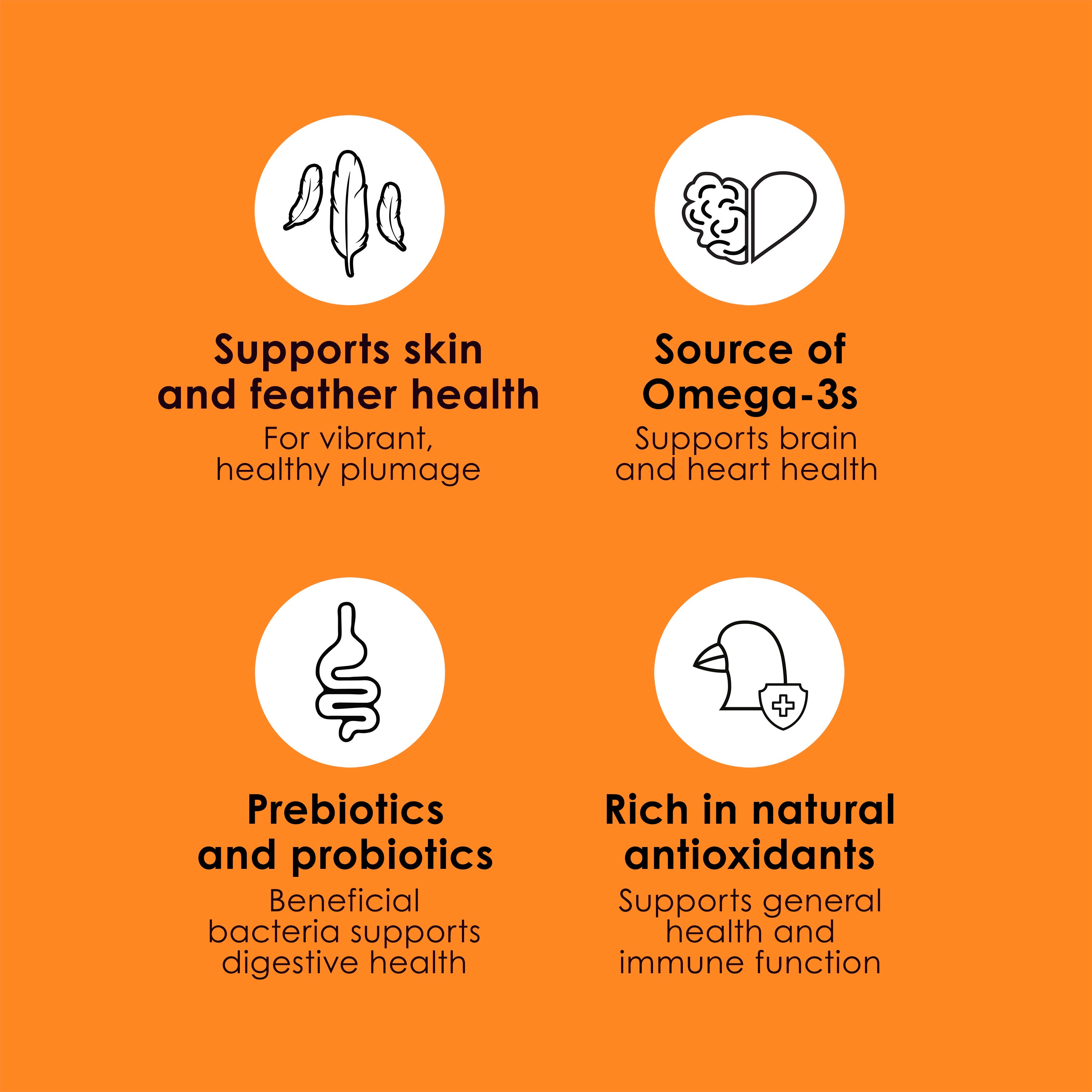 Kaytee Fiesta Canary & Finch 2lb