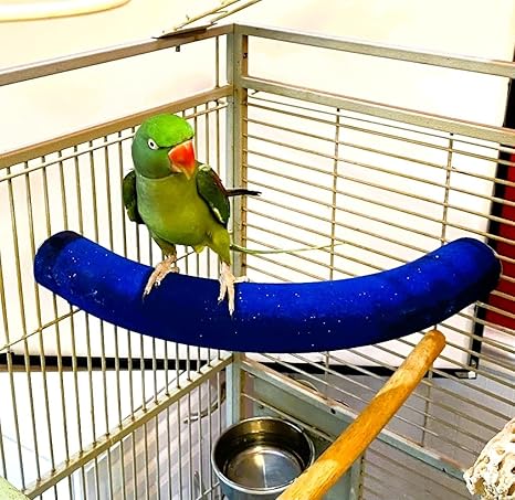 Polly's 50984 Cozy Corner Bird Perch, X-Large (Color May Vary)