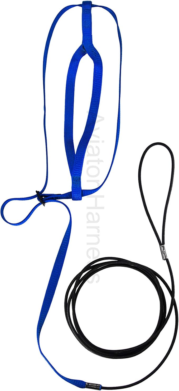 Aviator Bird Harness Xlarge Blue