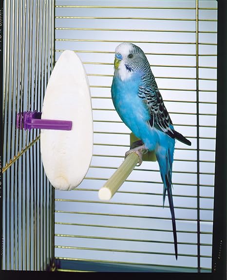 Penn-Plax BA616 Cutlebone Medium