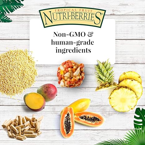 Lafeber’s Gourmet Tropical Fruit Nutri-Berries for Parrots 10 oz. Bag