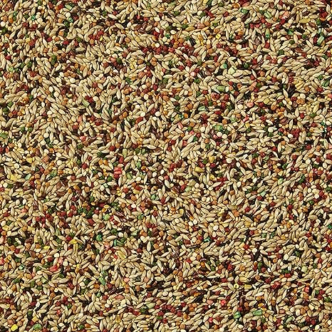 Kaytee Forti-Diet Pro Health Pet Canary & Finch Food, 2 lb