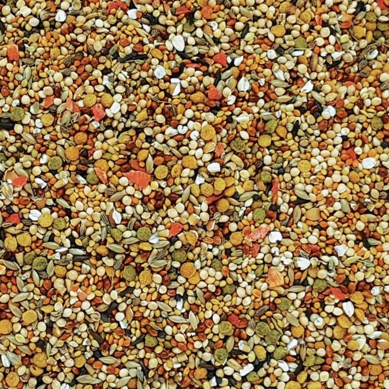 Hagen B2430 Gourmet Premium Seed Blend for Finches