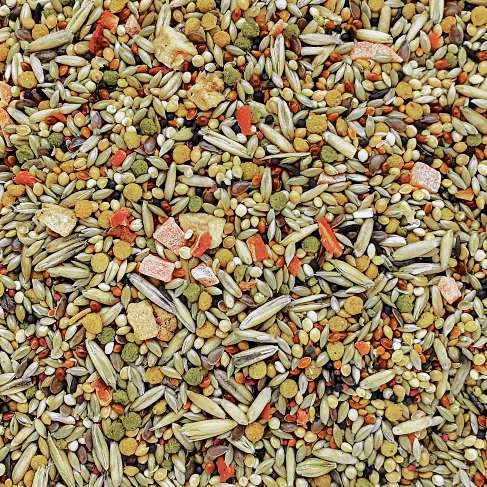 Hagen B2791 Gourmet Premium Seed Blend for Budgies 2.2lb