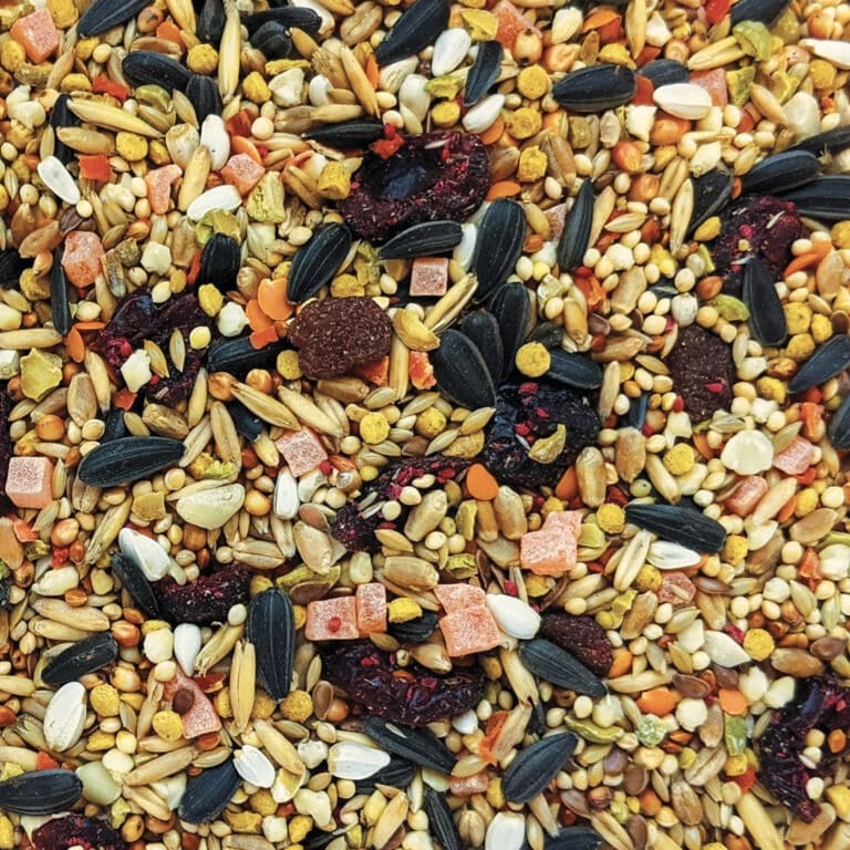 Hagen B2807 Gourmet Premium Seed Blend for Cockatiels & Small Hookbills