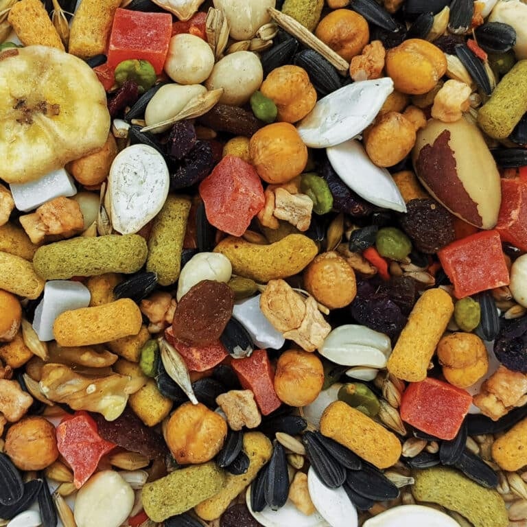 Hagen B2821 Gourmet Premium Seed Blend for Large Parrots