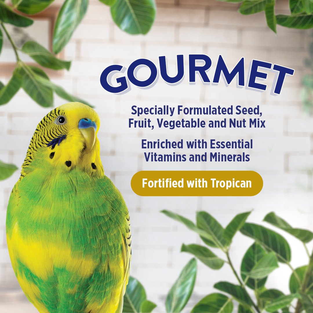 Hagen B2791 Gourmet Premium Seed Blend for Budgies 2.2lb