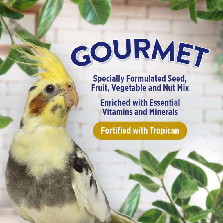 Hagen B2807 Gourmet Premium Seed Blend for Cockatiels & Small Hookbills