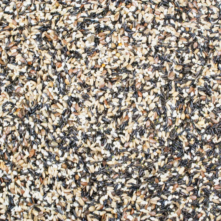 Higgins Sunbust Song Food 3oz