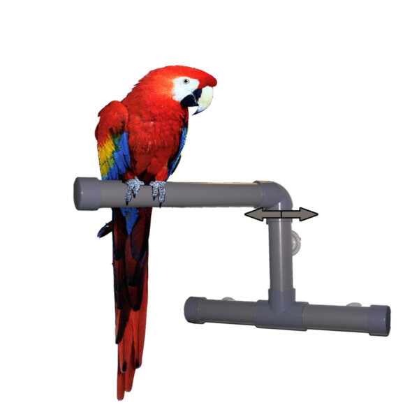 ZooMax T2003 LARGE SHOWER PERCH 10″ X 15″