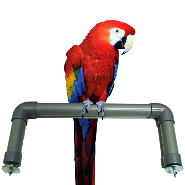 ZooMax T4016PV PVC-U-PERCH