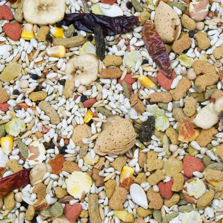 Higgins 21003 California Blend Parrot 5lb