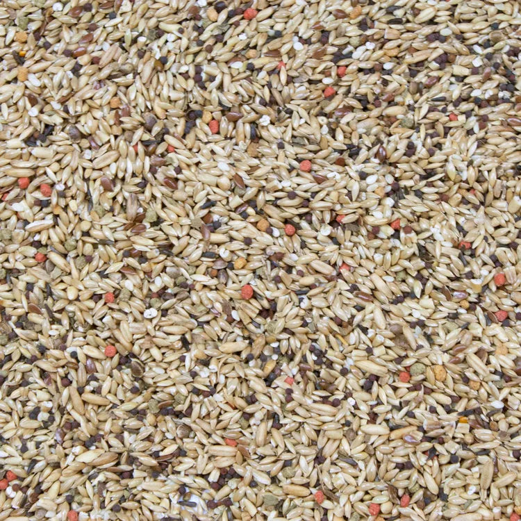 Higgins Vita Seed Canary 5lb