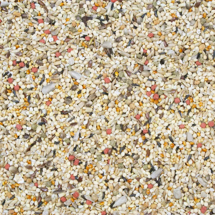 Higgins 21027 Vita Seed Finch 5lb