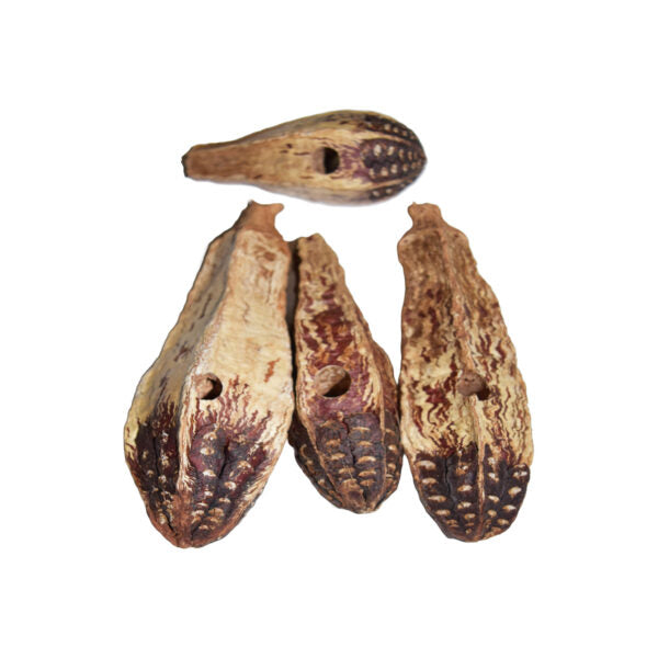 Zoo Max W243n 8 Mahogany Pod