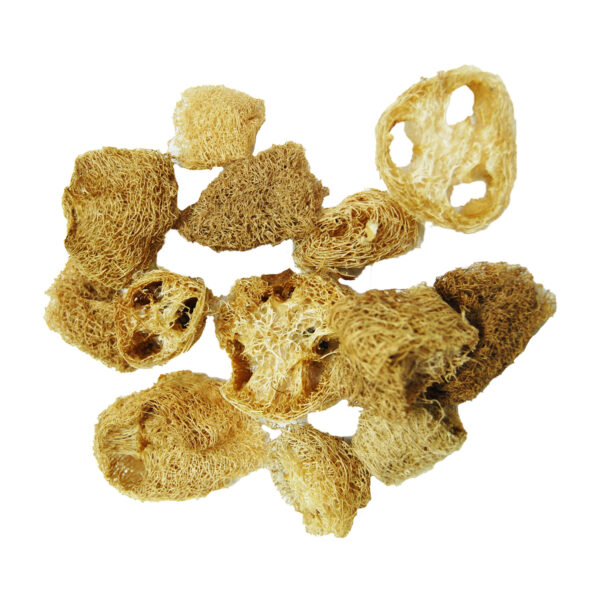 Fun-Max W244N Tranche Luffa 18Gr.slice Loofah Natural