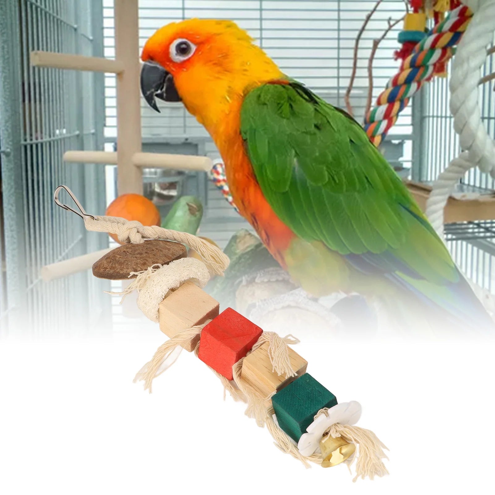 Live Birds