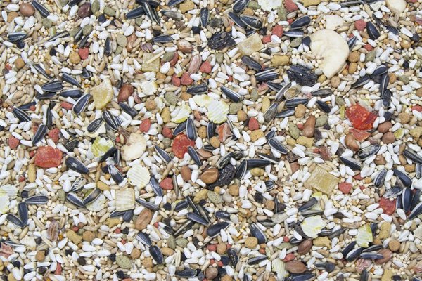 Higgins 21009 Vita Seed Conure/Lovebird 5lbs