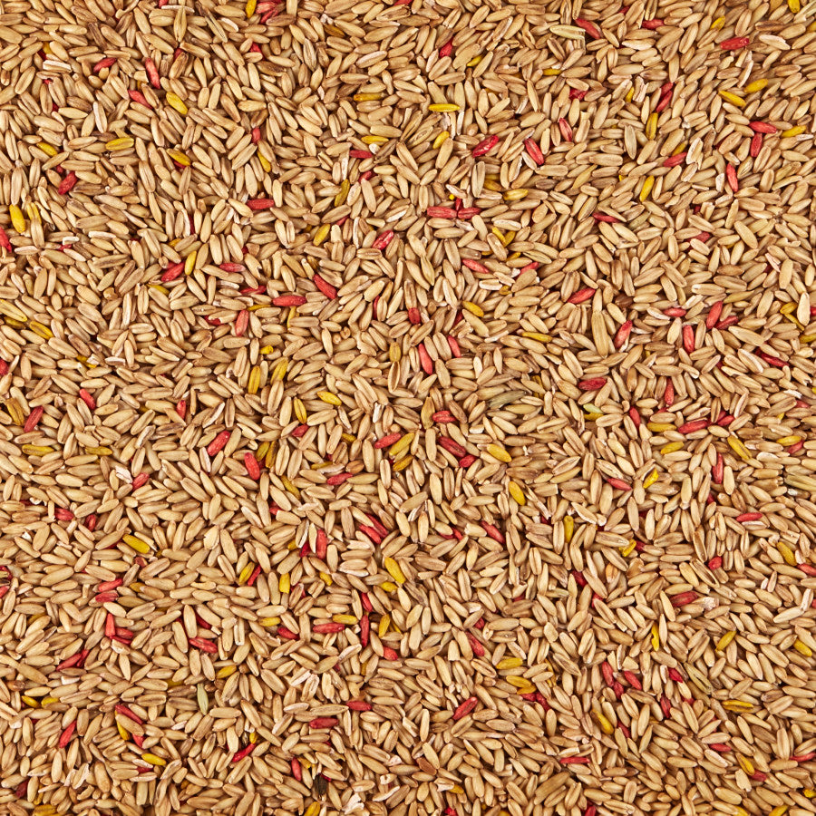 Kaytee Oat Groats Treat 11oz