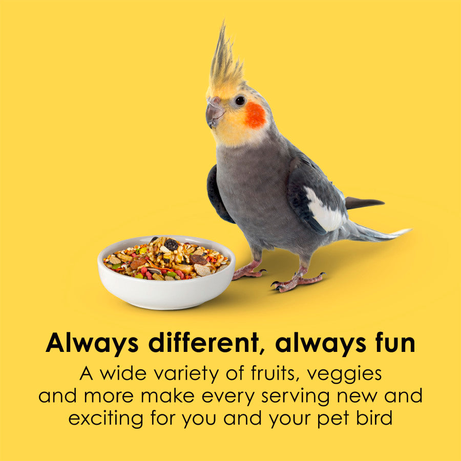 Kaytee fiesta cockateil 4.5lb