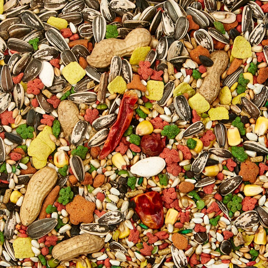 Kaytee Parrot Food Forti Diet 5lb