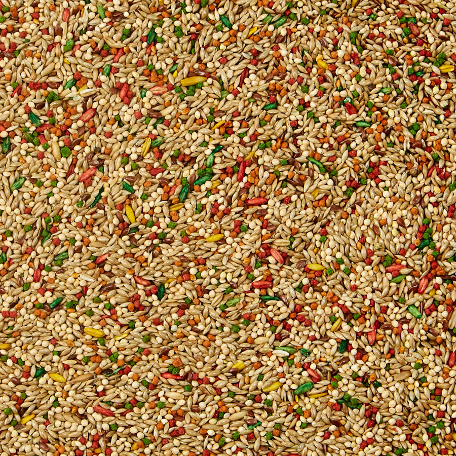 Kaytee Forti Diet Parakeet 4lb