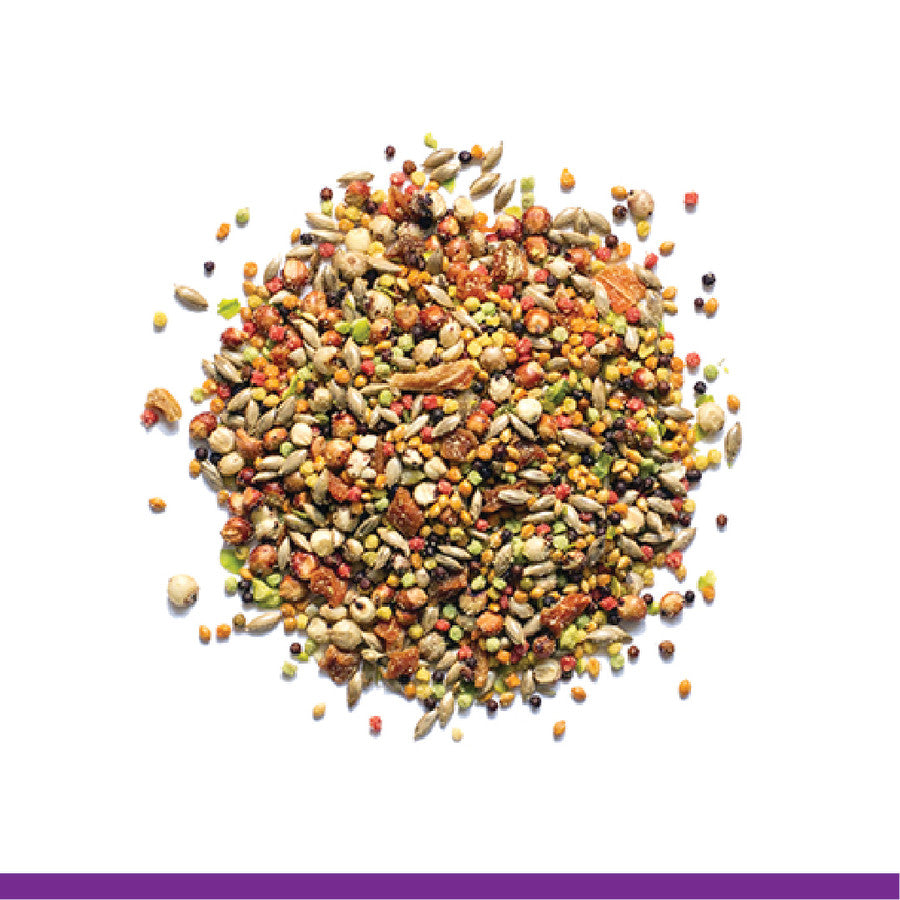 Zupreem Pure Fun Small 2lb