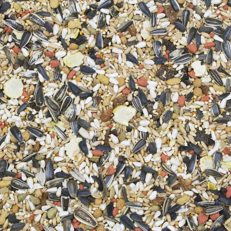 Higgins VitaSeed Cockateil Bulk