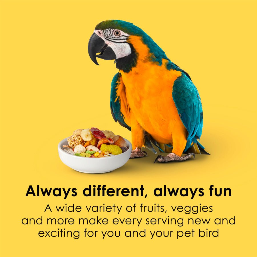 Kaytee Fiesta Macaw 4.5lb