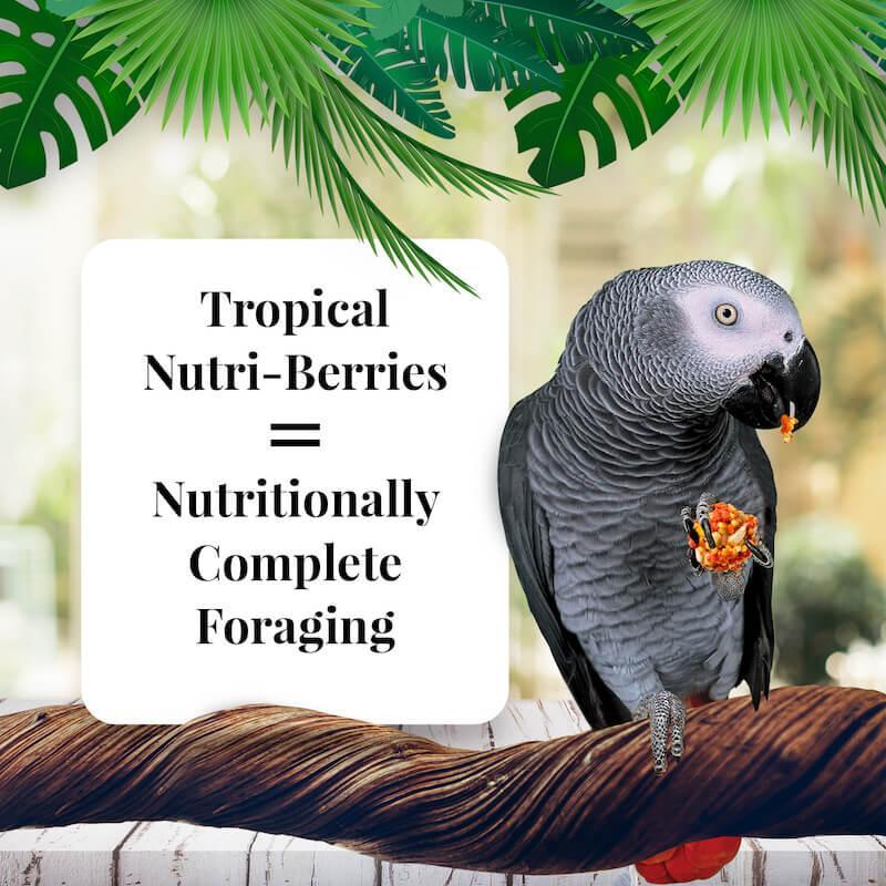 Lafeber's Tropical Fruit Nutri-Berries Parrot Food