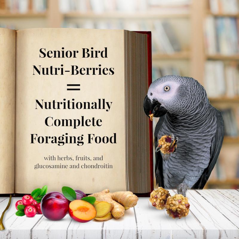 Lafeber's Senior Bird Nutri-Berries Parrot Food