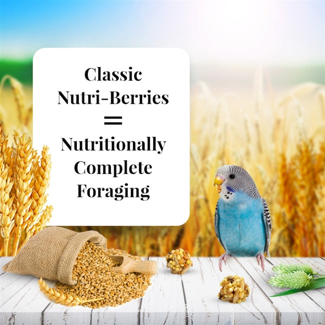Lafaber's Classic Nutriberries Parakeet 10oz