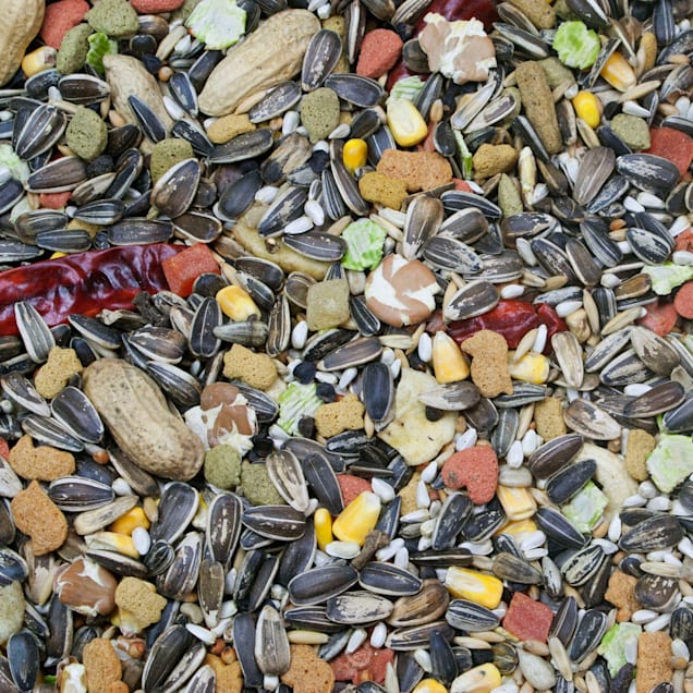 Higgins Fortified Vita seed Parrot Bulk