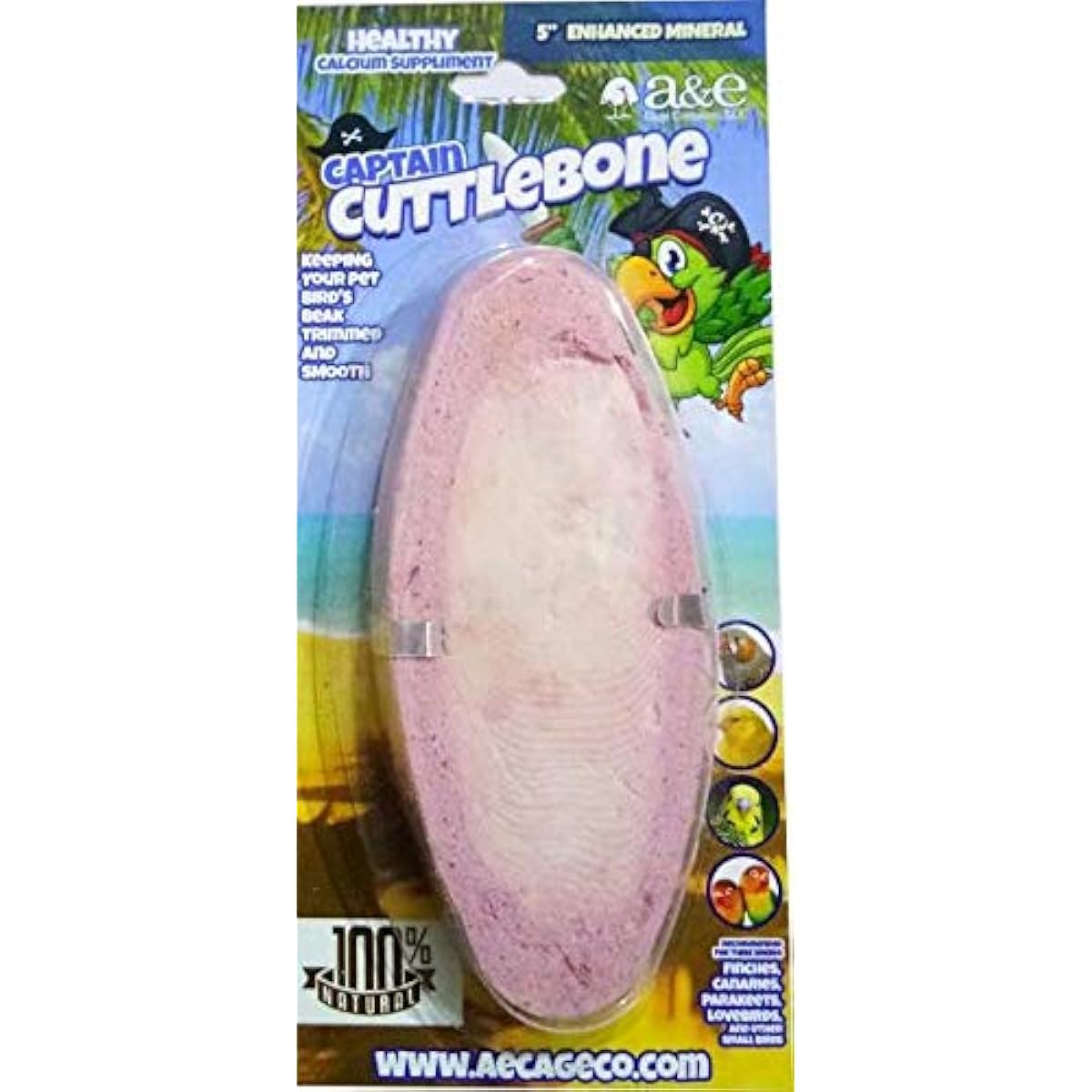 AE 9009 Cuttle Bone