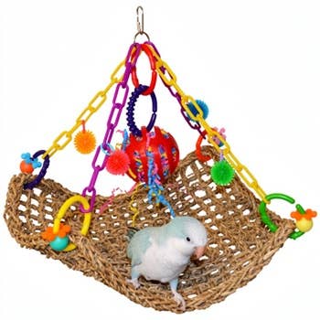 SB SB748 Flying Trapeze