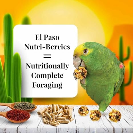 LAFEBER'S El Paso Nutri-Berries Pet Bird Food,  for Parrots, 3 lb