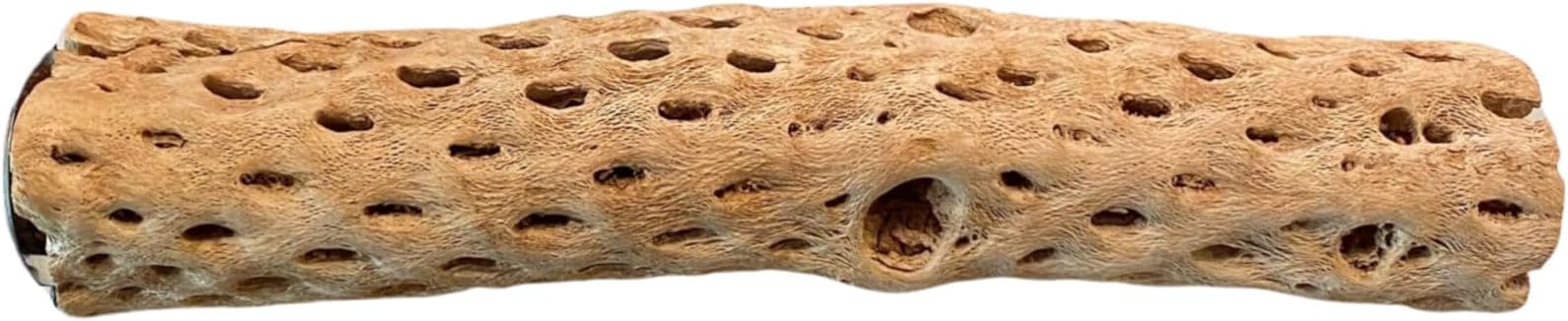 Polly's  Cholla Cactus Bird Perch, Large