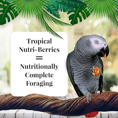 LAFEBER'S Tropical Fruit Nutri-Berries Pet Bird Food 3LB
