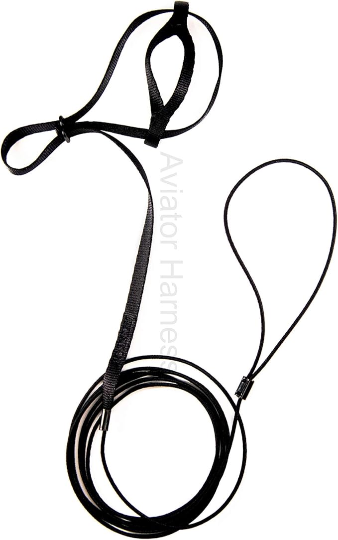 Aviator Bird Harness Mini Black