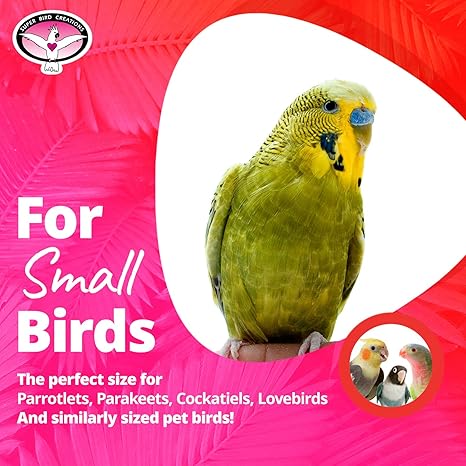 Super Bird Creations SB473 Peekaboo Perch Tent for Small Birds, Bird Bed & Parrot Perch