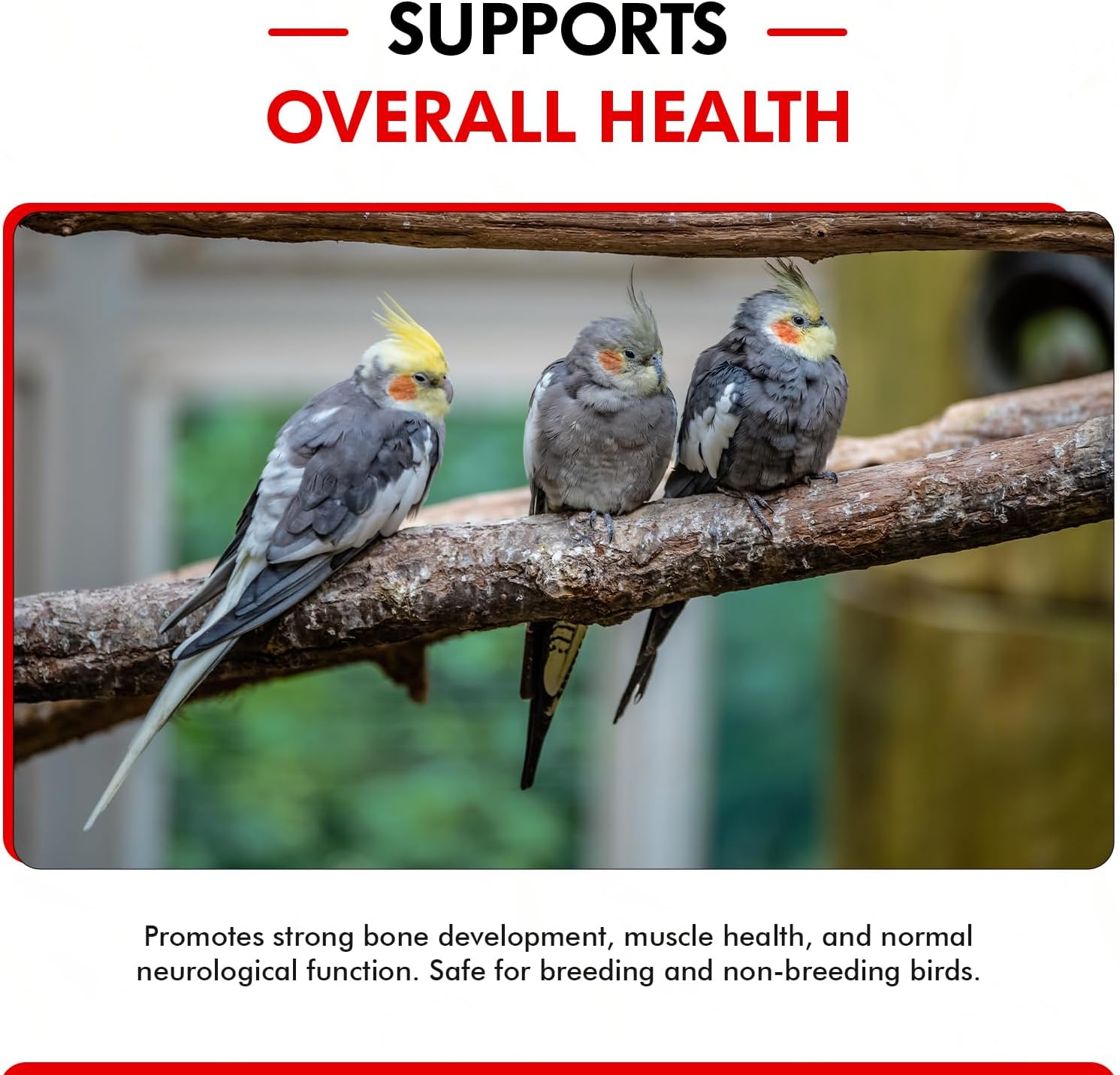 Morning Bird 045 Calcium Plus 4oz