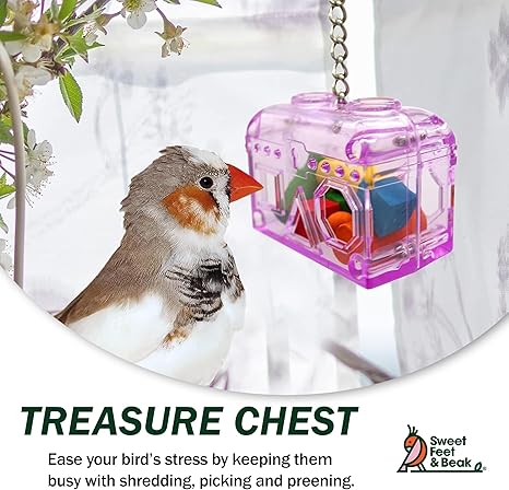 Sweet Feet & Beak 60020 Small Treasure Chest Bird Toy