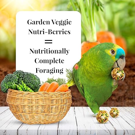 Lafaber's Nutriberres Garden Veggie